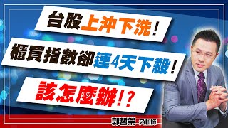 2021.04.14 郭哲榮分析師【台股上沖下洗!  櫃買指數卻連4天下殺!  該怎麼辦!?】(無廣告。有字幕版)