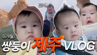 [VLOG] 6개월 쌍둥이 아기랑 제주도 여행🍊 EP.1ㅣ준비물 꿀팁ㅣ제주 맛집 추천