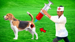 Must Watch New Funniest Comedy Video 2023 Amazing Comedy Video 2023 Injection Funny Video Ep 33