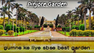 Pinjore Garden Vlog #solan