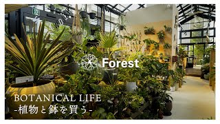 【植物店巡り】こだわり満載！ハイセンスで珍しい植物が多い千葉のボタニカルショップ『Forest』にお邪魔しました｜流山おおたかの森 #観葉植物 #観葉植物のある暮らし #plants