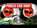 Reviewing Cars In Public!