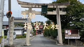 京都 酒造の神様の梅宮大社 Umenomiya-taisha Shrine