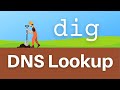 How To Lookup DNS Records With The dig Command