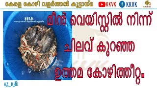 Fish Sailage  മീൻ വെയിസ്റ്റിൽ നിന്ന് ചിലവ് കുറഞ്ഞ ഉത്തമ കോഴിത്തീറ്റ!!! ((KKVK))