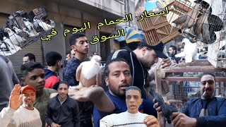 عاجل اسعار الحمام في سوق الجمعه اليوم بالاسكندرية 6/12/2024#شريف_الغيه_المصريه