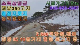 [매물5216]단양군 소백산옆 두악산아래 350고지에 힐링하기좋은 주말용토지 약간산속 청정지에 농막용으로 최고 엄나무와/두릅나무식재 수입이 솔솔한땅,매매