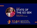 State of the Go SDK
