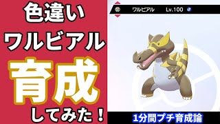 【ポケモン育成紹介】『色違い』ワルビアルをサクッと1分プチ育成を紹介【初心者向け/鎧の孤島/剣盾】