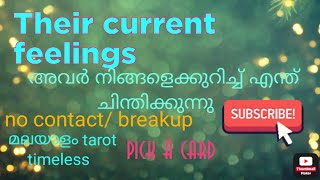 current feelings of your person.അവർ  നിങ്ങളെ ക്കുറിച്ച് എന്താണ് ചിന്തിക്കുന്നത്. no contact.timeless