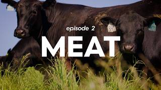 FEAST or famine | E02 | MEAT