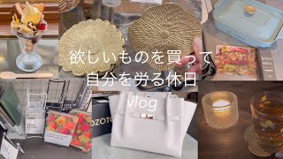 【丁寧な暮らし vlog】休日 | 社会人 | vlog |購入品 | 爆買い | 日常 | 欲しいものを買って自分を労る休日 | 30代 | 共働き | ルーティン| 40代 | 50代 | 20代