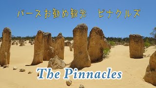 The Pinnacles　パースお勧め観光　ピナクルズ　自然が作り出した不思議なアート