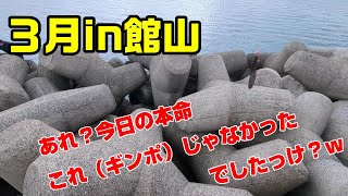 穴釣りでニョロニョロ再び【千葉県内房】館山