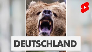 Welche Tiere gab es mal in Deutschland? | #shorts #JonasTierschutz