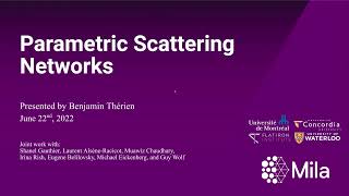 Parametric Scattering Networks | CVPR 2022