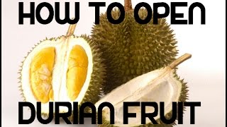 How to open Durian Fruit Video