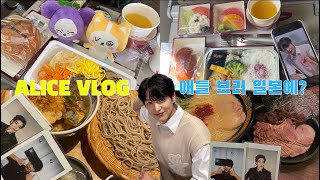 [ALICE VLOG #1] - 빅톤 보러 일본까지 가다? 일본특전회 | 팬콘서트 💛💙