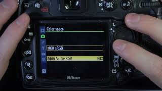 How To Change Color Space On NIKON D300