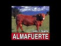 almafuerte debes saberlo audio