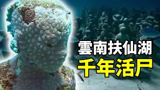 平靜湖底發現大量腐屍，暗流深處驚現千年古城，揭開撫仙湖的秘密