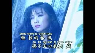 谢采妘 Xie Cai Yun - 遥遠寄相思 Yao Yuan Ji Xiang Si