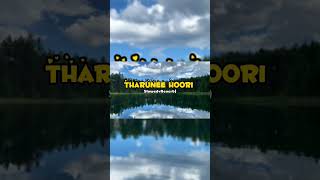 Tharunee Hoori (Slowed+Reverb) #slowedandreverb #slowedreverb #shorts #shortsfeed #shortsvideo