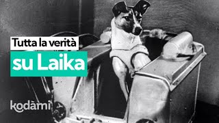 Perché la cagnolina Laika fu mandata nello spazio e che fine ha fatto? La verità sulla sua storia