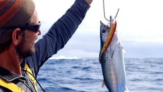 Living off the Sea under Sail in Uncharted Waters  - Free Range Sailing Ep 177