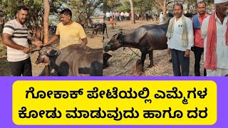 Gokak buffalomarket 🐃🦬||Gokak cattles market #buffalo #buffalovideo #buffaloforsale