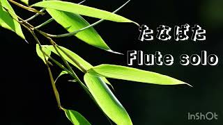 たなばた♩Flute solo