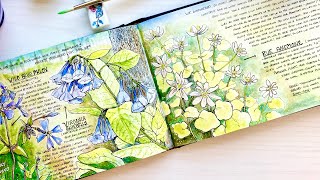 Nature Journaling Wildflowers