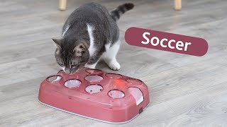 Soccer - Strategy game for cats by Trixie Heimtierbedarf