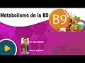 Quelles sont les fonctions métaboliques de la vitamine B9?