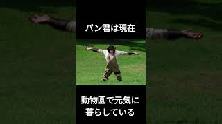 パン君のやばすぎる秘密教えますpart1 #パン君 #動物