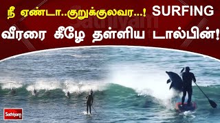 நீ ஏண்டா  குறுக்குலவர...! SURFING வீரரை கீழே தள்ளிய டால்பின்! | Dolphin | SathiyamTV