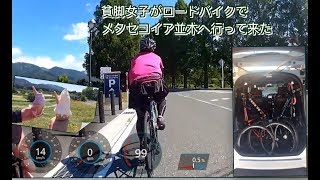 貧脚女子がロードバイクで【メタセコイア並木】へ行って来ました！