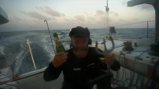 Enda O'Coineen celebrates the equator / Vendée Globe