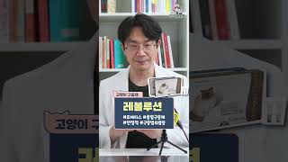 고양이 구충제를 비교해보자