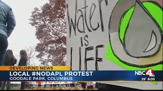 Local #NODAPL protest