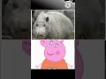 peppa pig real life shorts trending like subscribe