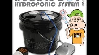 Hydroponics Made Simple - BubbleBoy DWC System for Beginners - Easy Garden