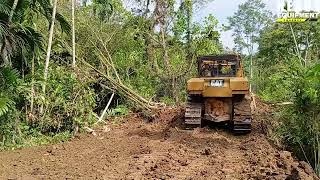 Caterpillar D6R XL Bulldozer Operators are Very Expert at Working on Widening Plantation Roads