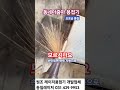 동네아줌마 용접기 모르시나요 사용법 세팅 안전 교육 diy 알루미늄 파이프 보호렌즈 티그용접 모터 탱크 배터리 레이저용접기 추천 레이저용접기 가격 레이저녹제거기 레이저커팅기