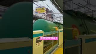 列車が通過します…！？え！！！#jr貨物 #jr東日本 #train