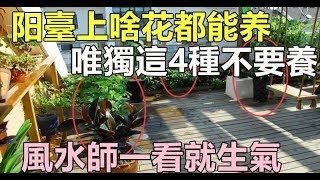 陽台上什麼花都能養，唯獨這4種，風水師一看就說不行！