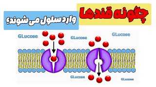 دوره جمع بندی بیوشیمی: چگونه قندها وارد سلول می شوند؟ | زبان ساده| بیوشیمی برای دانشجویان