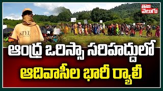 ఆంధ్ర ఒరిస్సా సరిహద్దులో ఆదివాసీల భారీ ర్యాలీ | Andhra Orisaa Border | Tolivelugu TV