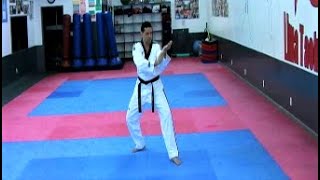 SHIPJIN 5 DAN TAEKWONDO POOMSAE by GMaster ANDRE LIMA || WTF WT KUKKIWON FORM