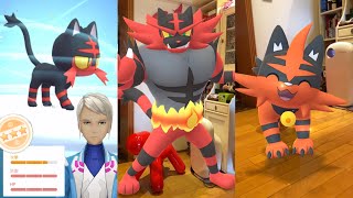 火斑喵進化熾焰咆哮虎！ニャビー Litten ガオガエン Incineroar！Pokemon GO